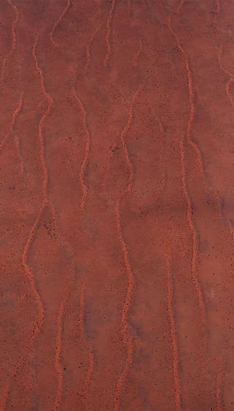 Selected Simpson Desert photograph.