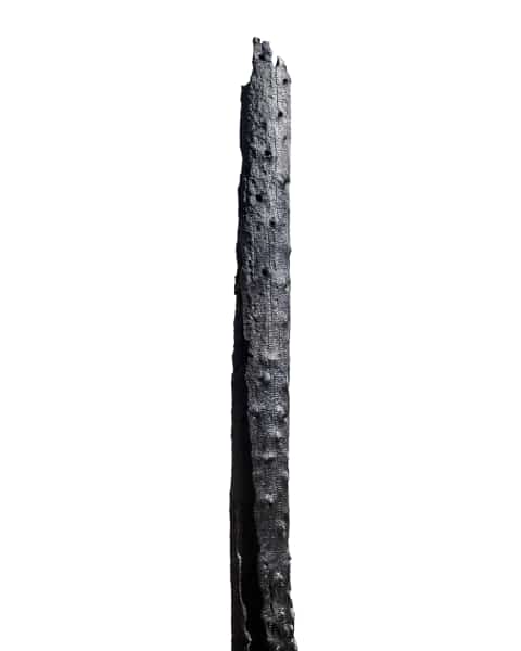 Selected Totems & Sentinels photograph.