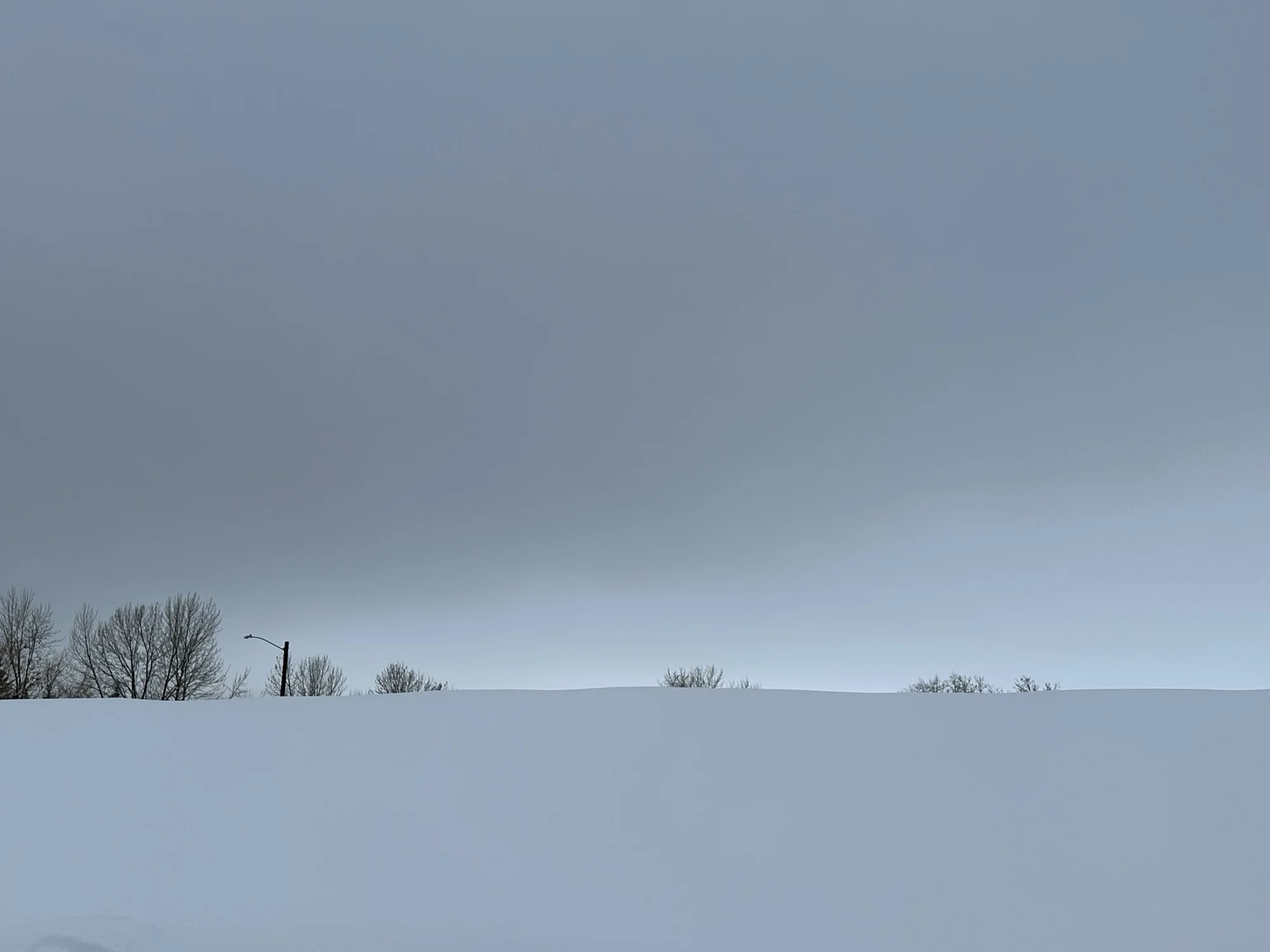 Winterblue search image.