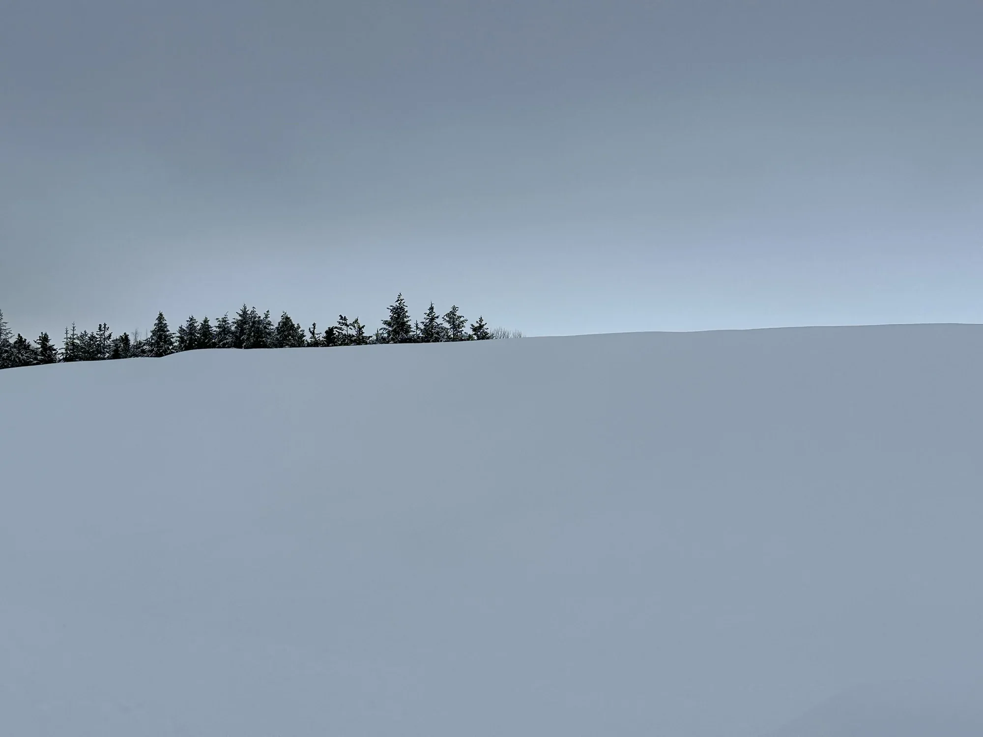 Winterblue search image.