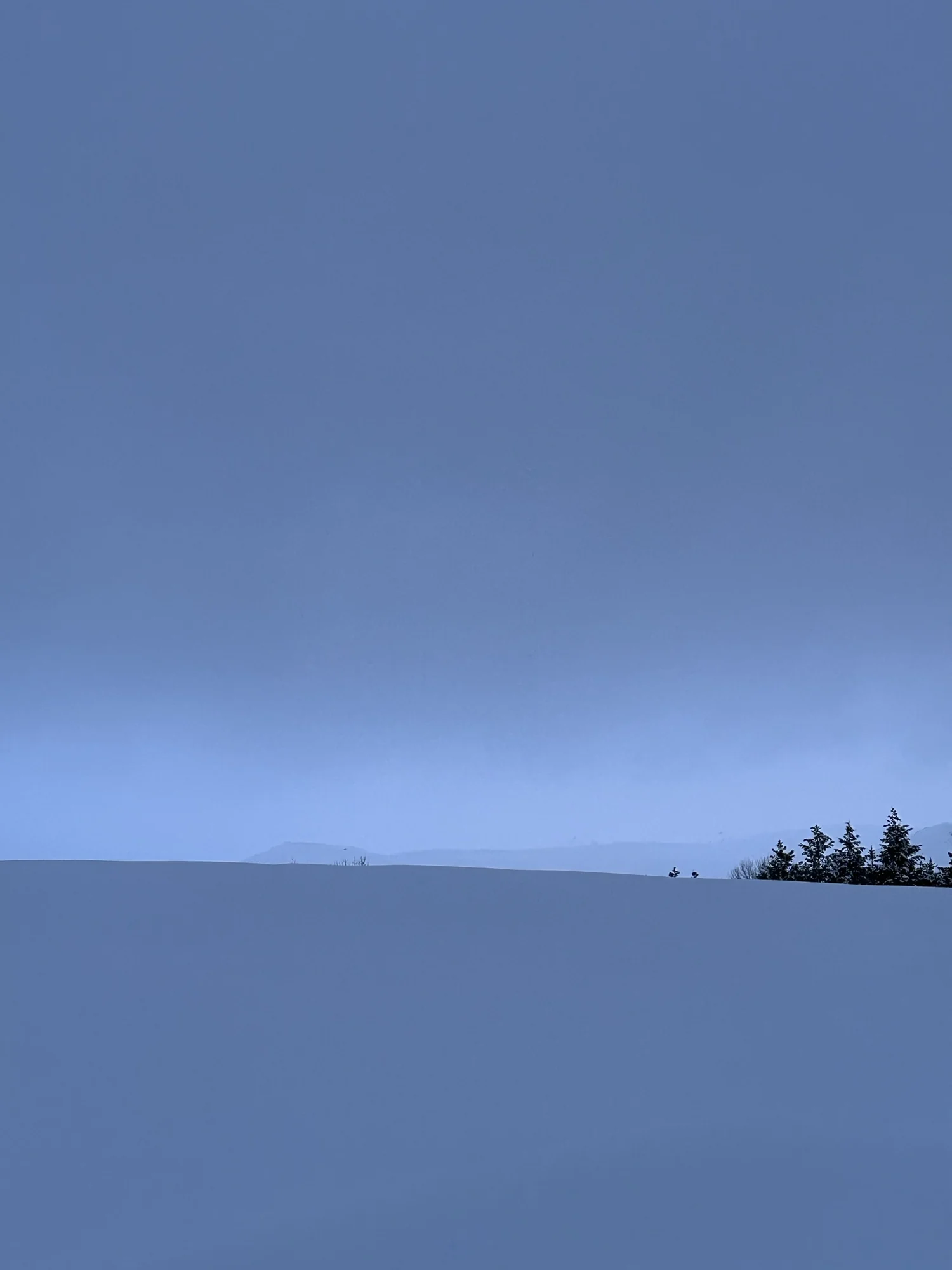 Winterblue search image.