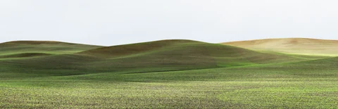 Palouse farmland panorama, 2013–2014.