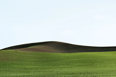 Palouse farmland photograph, archive DSC 0901, 2013–2014.