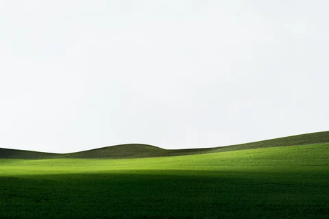 Palouse farmland photograph, archive DSC 1051, 2013–2014.