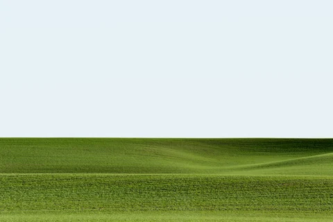 Palouse farmland photograph, archive DSC 1143, 2013–2014.