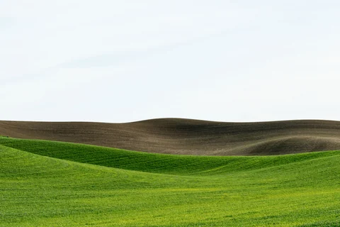 Palouse farmland photograph, archive DSC 1420, 2013–2014.
