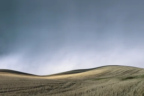 Palouse farmland photograph No. 14, alternate study, 2013–2014.