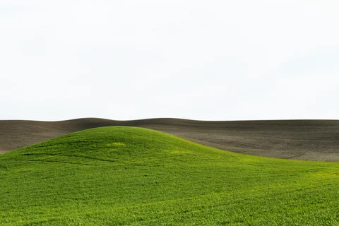 Palouse farmland photograph, archive MV12, 2013–2014.
