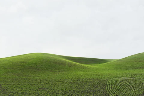 Palouse farmland photograph No. 2, 2013–2014.