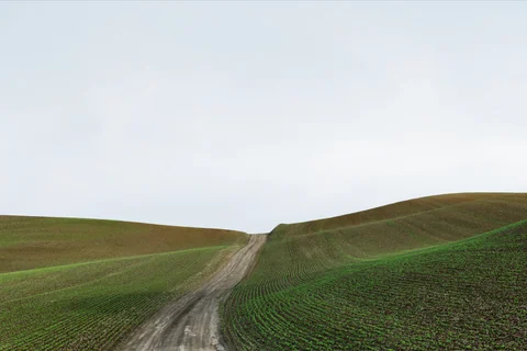 Palouse road study No. 3, 2013–2014.
