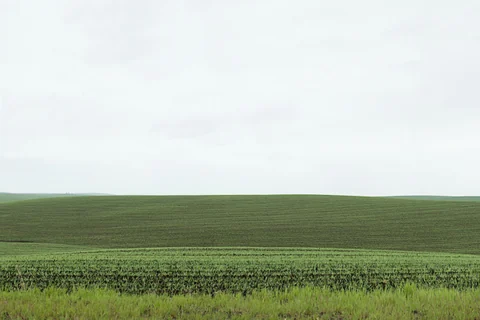 Palouse farmland study WIP 016, 2013–2014.