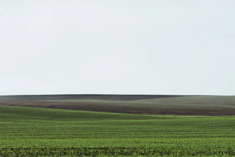 Palouse farmland study WIP 030, 2013–2014.