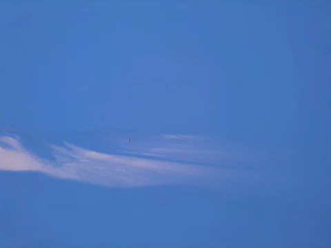 Winterblue photograph 35, Camas Prairie.