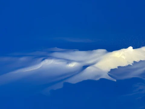 Winterblue photograph 5, Camas Prairie.
