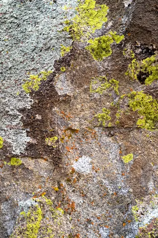 Orange lichen on weathered granite at City of Rocks.