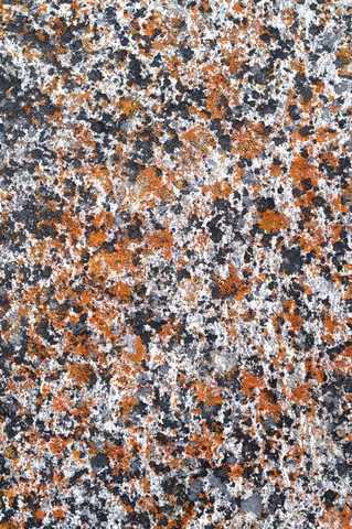 Granite plate at City of Rocks.