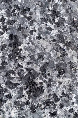 Granite plate at City of Rocks.