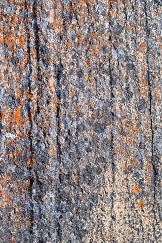 Orange lichen detail at City of Rocks.