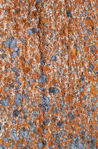 Orange lichen and granite at City of Rocks.