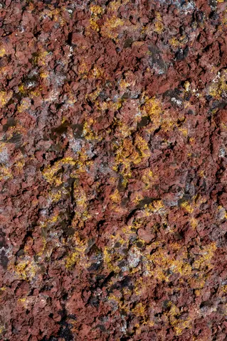 Lava field plate at Craters of the Moon.