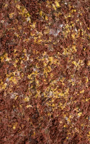 Basalt plate at Craters of the Moon.