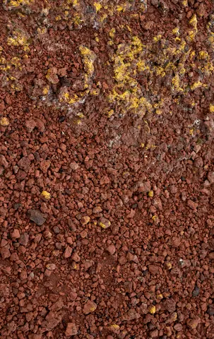 Lava field detail at Craters of the Moon.