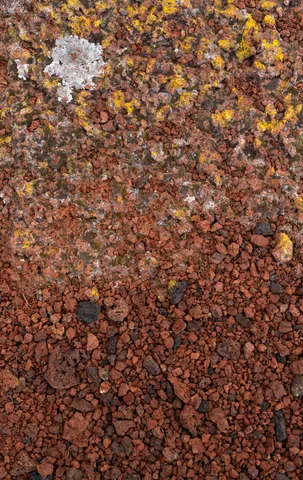 Weathered lava at Craters of the Moon.