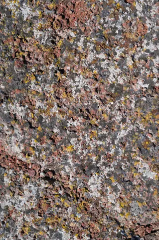 Volcanic plate at Craters of the Moon.