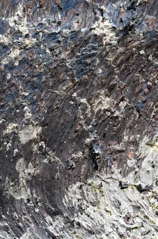 Basalt and orange lichen at Craters of the Moon.