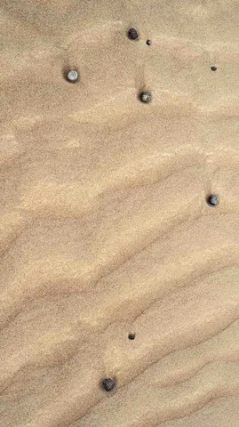 Wahiba Sands dune surface.