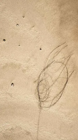 Wahiba Sands field photograph.