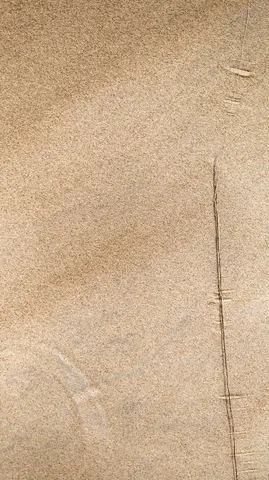 South wall of a Wahiba Sands dune.