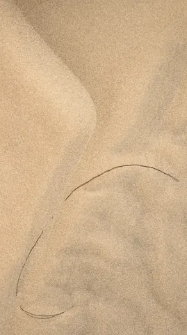 Desert surface in the Wahiba Sands.
